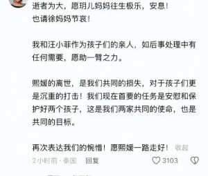 张兰粉丝偷拍大S墓地，汪小菲蜜月，遭网友痛骂