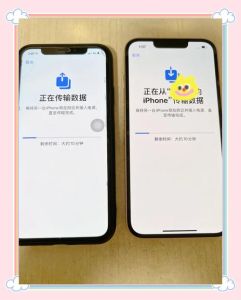 两只旧苹果手机怎么传输数据_数字化时代旧苹果手机数据迁移全攻略